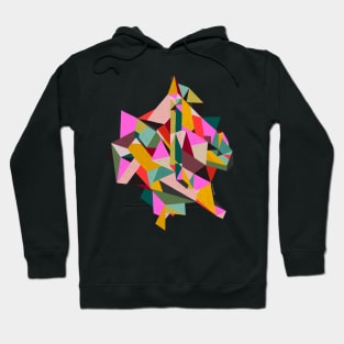 Poly Hoodie